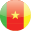 Cameroon flag