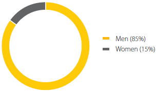 Representation by gender on the board