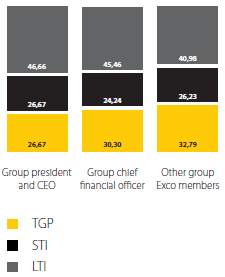 Composition of remuneration package for executive directors %