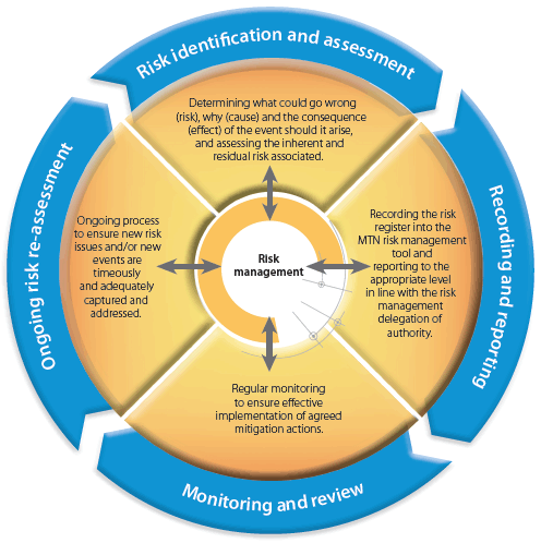 Our risk management process