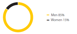 Representation by gender on the board